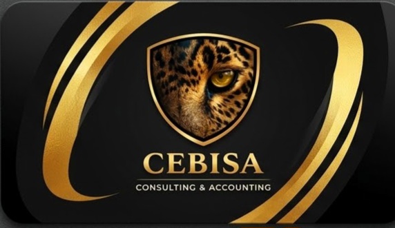 Cebisa Consulting & Accounting Services in Morningside