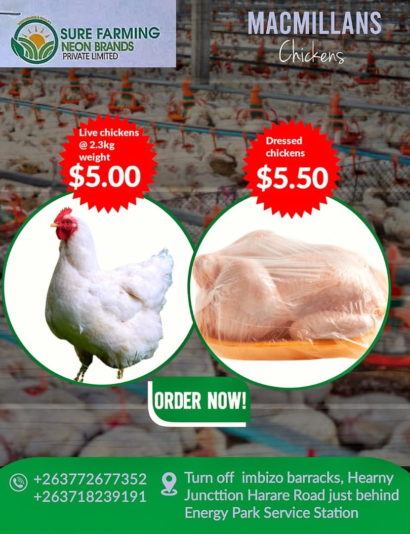 breeding ducks and ducks wanted in Bulawayo
